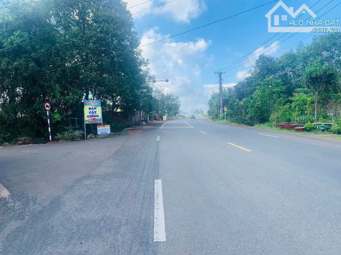 Mặt tiền 765 Long Tân. H. Đất Đỏ - Bà Rịa Vũng Tàu - 1,8tỷ 6x55 (100m thổ cư)