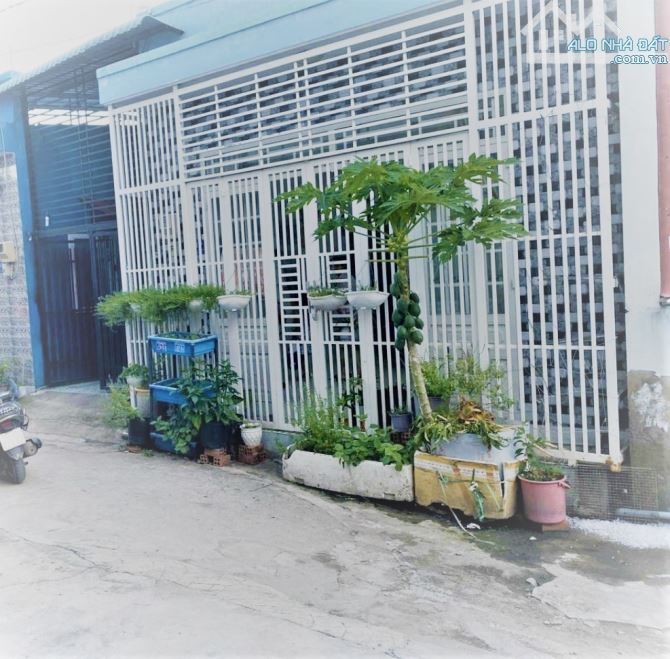 Nhỉnh 3 tỷ- Nhà C4- Hẻm xe hơi- Gần MT Nguyễn Xiển- Long Bình Q9
