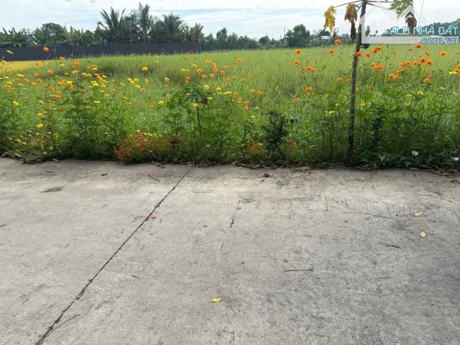 Bán đất thổ cư đường bê tông cách nhựa TL9 vào 150m gần KDC Phú Sinh
