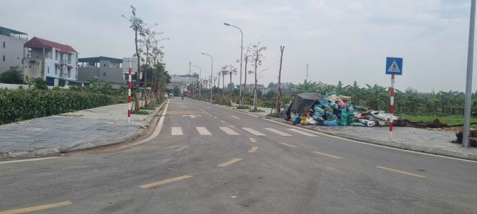 GIÁ HẠT DẺ - THÁI PHÙ - MAI ĐÌNH - SÓC SƠN