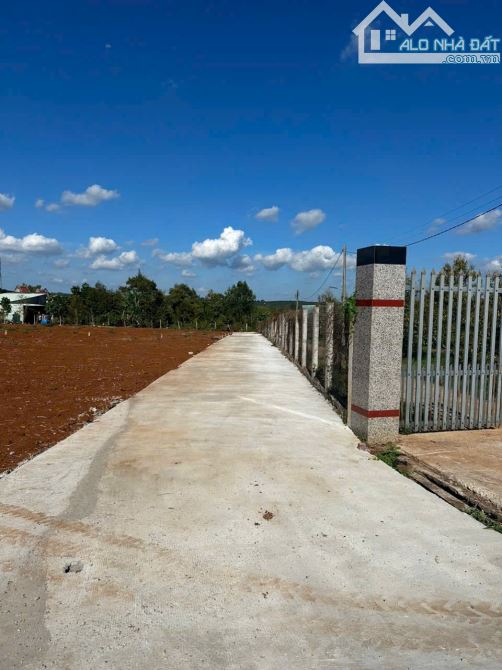 Bán khoảng 1 sào (1038m2) đất Xà Bang, huyện Châu Đức, BRVT. - 1