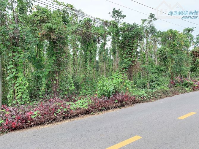 Bán khoảng 4 sào 7 (4700m2) đất thị trấn Kim Long, huyện Châu Đức, BRVT. - 1