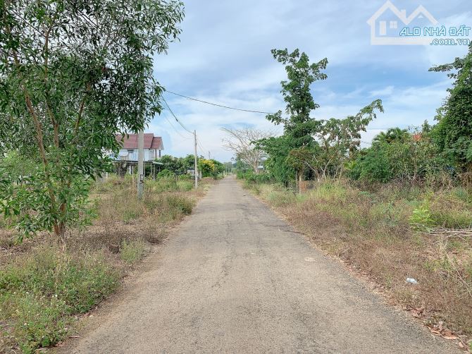 Bán khoảng 3 sào 6 (3672m2) đất Bình Ba, huyện Châu Đức, BRVT. - 1
