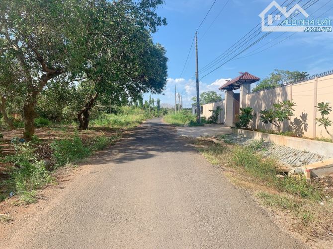 Bán khoảng 3 sào 1 (3157m2) đất Láng Lớn, huyện Châu Đức, BRVT. - 1