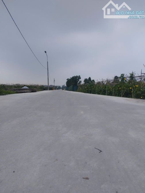 🌅 SIÊU PHẨM VIEW HỒ – LÔ ĐẤT VÀNG GIỮA LÒNG NAM HỒNG 🌅 - 1