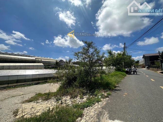 🏡 BÁN ĐẤT MẶT TIỀN ĐA PHÚ - PHƯỜNG 7, ĐÀ LẠT 281.9m² 100% thổ cư  giá 8.5 tỷ - 1