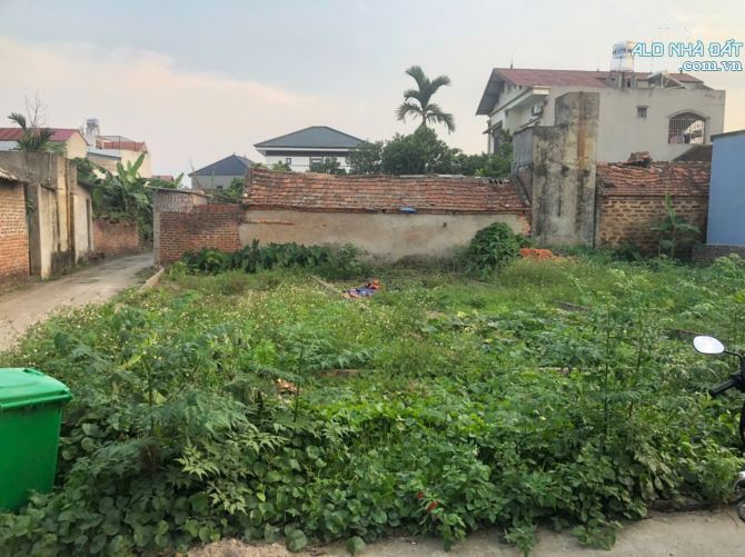 CC gửi bán lô góc đẹp tại Tân An Hiền Ninh Sóc Sơn diện tích 50m2 tài chính nhỉnh hơn 2 tỷ - 1
