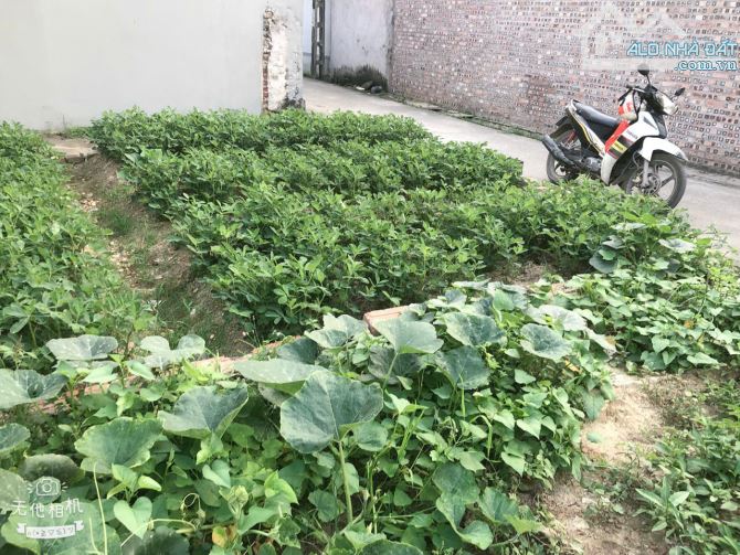 LÔ GÓC ĐẸP ĐÔNG LAI - QUANG TIÊN - SÓC SƠN DIỆN TÍCH 40M2 TÀI  CHÍNH NHỈNH HƠN 1 TỶ - 1