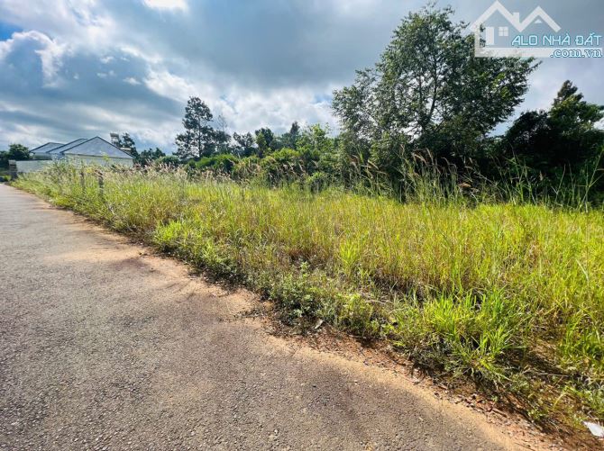 BÁN GẤP LÔ ĐẤT ĐẸP 285m2 – HẺM 18 TRIỆU QUANG PHỤC, B’LAO – BẢO LỘC - 1