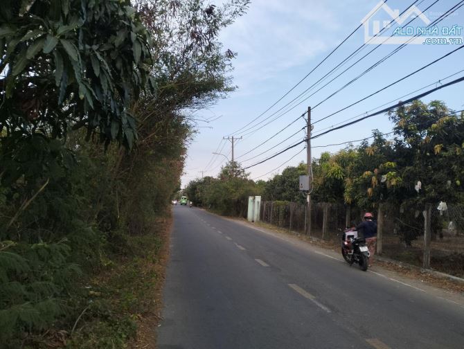 BÁN ĐẤT MT ĐƯỜNG DUYÊN HẢI – CẦN GIỜ, GẦN DỰ ÁN VINHOMES, 1.706 M2, GIÁ RẺ BẤT NGỜ - 1