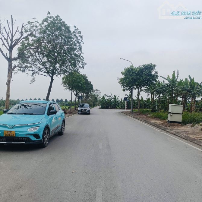 BÁN ĐẤT PHÂN LÔ KIM SƠN-GIA LÂM-PHÂN LÔ ĐẤU GIÁ VỈA HÈ-Ô TÔ TẢI TRÁNH TRUNG TÂM KIM SƠN- 8 - 1