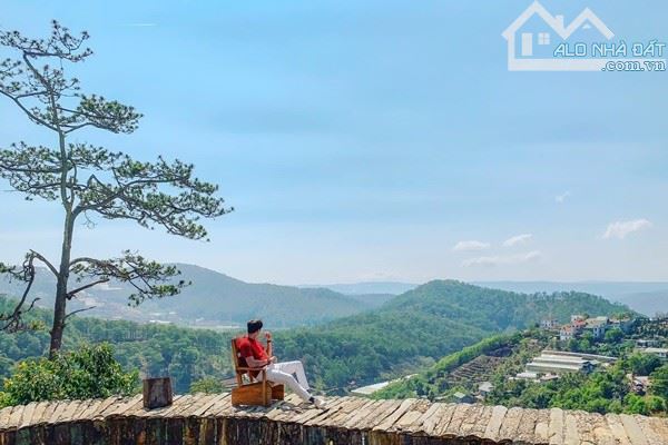Bán đất Hoàng Hoa Thám, Phường 10, Đà Lạt 12 tỷ, 655.13 m2 có 249,7m2 thổ cư - 1