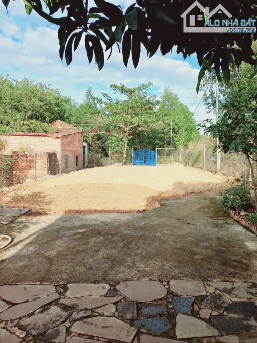 Bán nhà kp1 thị trấn Vĩnh An, dt 9x60 sr thổ cư - 1
