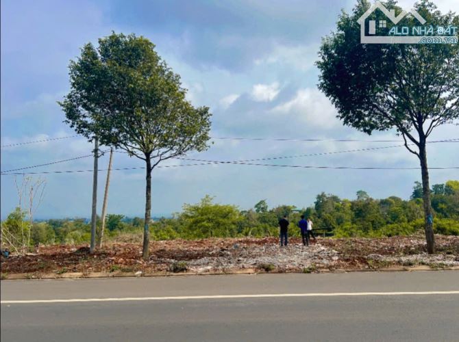 Hơn 2 sào mặt tiền Vành Đai 10/3 phường Tân Lợi - 1