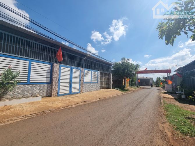 Đất mặt tiền đường Mậu Thân phường Tân Hoà sau chợ Đầu Mối - 1