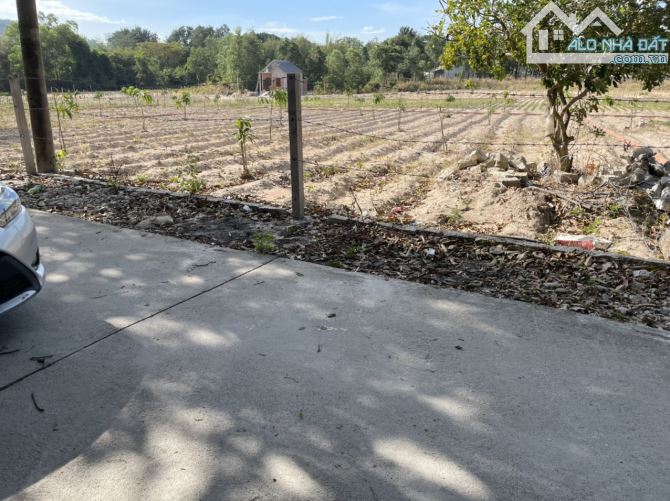 Bán gấp 271m² đất Tân Hòa – Cách Vành Đai 4 Chỉ 200m – Tách được 2 sổ – Giá đầu tư - 1