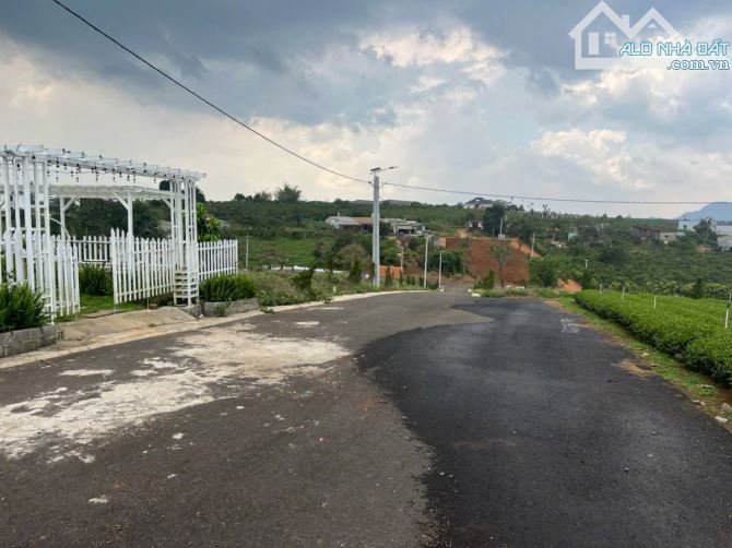 ✨ HÀNG NGỘP - BÁN GẤP TRONG TUẦN. 60 * 136m, NỞ HẬU 80m = 7.403 m² - 1