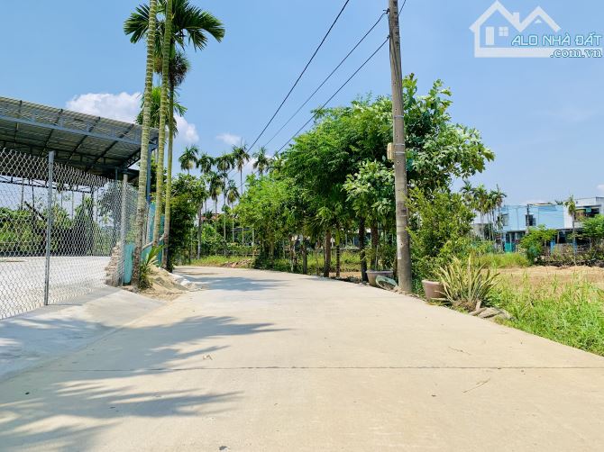 View Lúa Trực Diện - Điện Phương sát Hôi An - Oto Thông - 82m2 - MT 5m15 - 8xx. - 1
