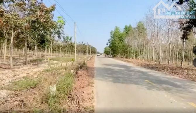 CẦN BÁN GẤP ĐẤT 2 MẶT TIỀN TẠI TÂN THÀNH 43, TÂN UYÊN, BÌNH DƯƠNG - 1