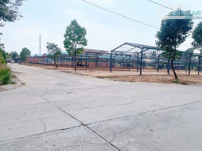 Tôi kẹt tiền cần bán nhanh lô đất K30 nằm trên đường DK11 thuộc khu đô thị Mỹ Phước 3, TP. - 1