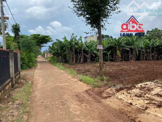 đất Thổ Cư Xã Thanh Bình Trảng Bom Đường Nguyễn Hoàng 50m Thổ Cư Full Đường 5m thoáng mát - 1