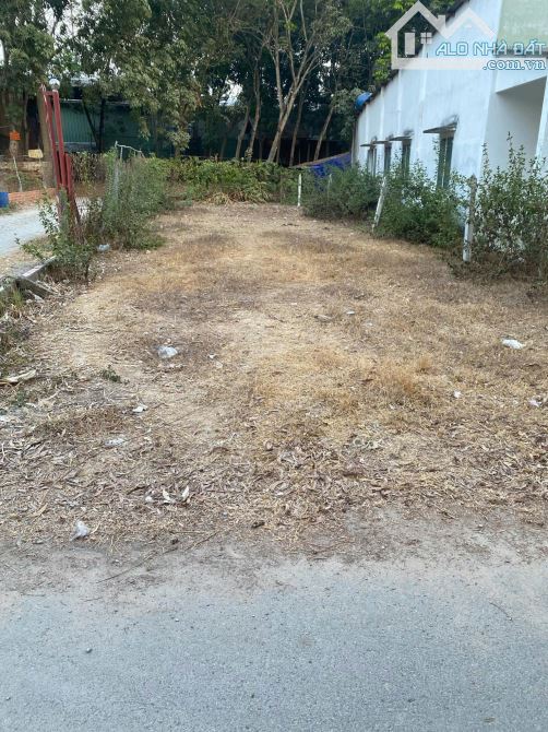 Bán đất trung tâm Phú An đường nhựa 6m, dt 6.2x25m giá 1ty5 - 1