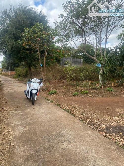 Bán đất thổ cư lên tới 200m2 Hoà Xuân - 1