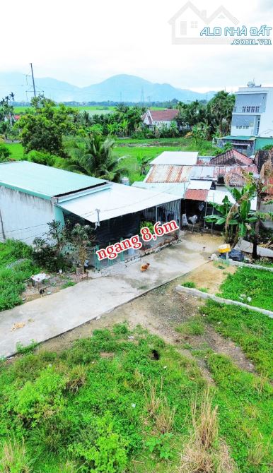 Bán nhà Suối Hiệp giá rẻ thôn Phú Hậu - full thổ cư - 14