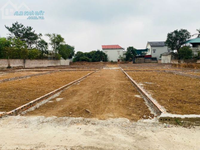 Chính chủ cần bán đất tại thôn Phú Thịnh, xã Minh Phú, huyện Sóc Sơn, Hà Nội. - 4