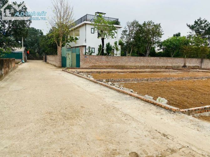 Chính chủ cần bán đất tại thôn Phú Thịnh, xã Minh Phú, huyện Sóc Sơn, Hà Nội. - 5
