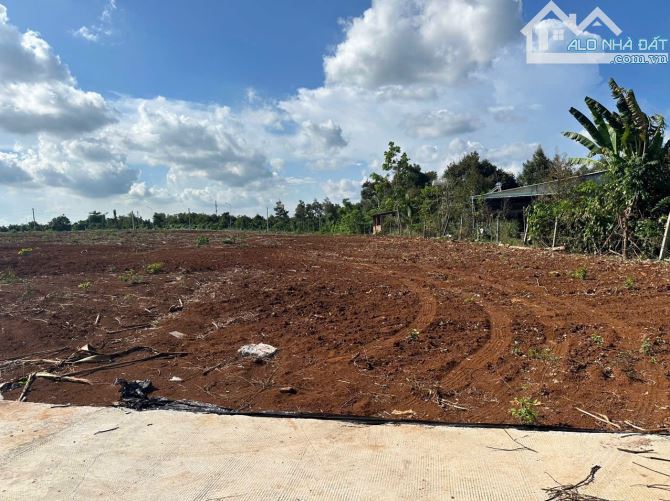 Bán khoảng 1 sào (1038m2) đất Xà Bang, huyện Châu Đức, BRVT. - 2