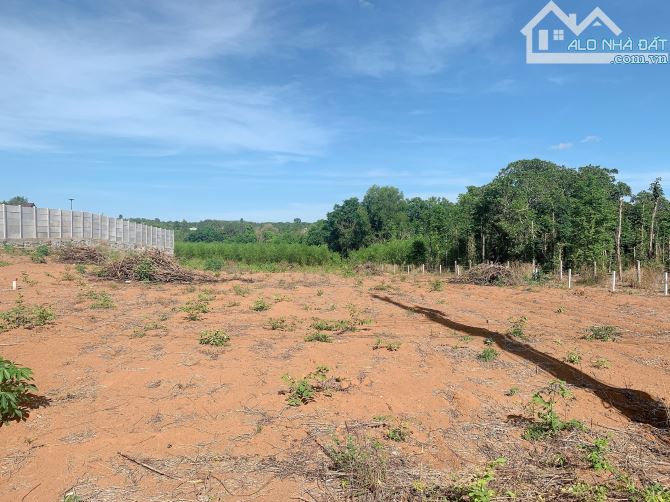 Bán khoảng 3 sào 1 (3157m2) đất Láng Lớn, huyện Châu Đức, BRVT. - 2