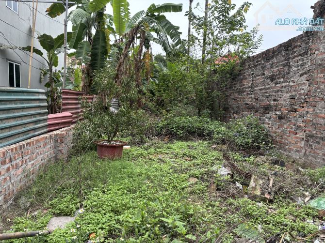 Bán đất Đông Anh,xã Bắc Hồng 61m2 đường thông ô tô ngủ trong đất - 2