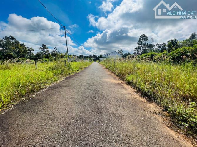 BÁN GẤP LÔ ĐẤT ĐẸP 285m2 – HẺM 18 TRIỆU QUANG PHỤC, B’LAO – BẢO LỘC - 2
