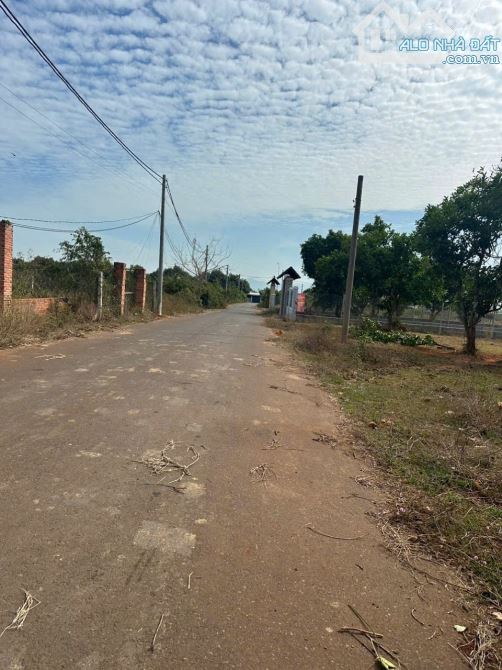 Bán đất có Diện tích: 1000m2, giá bán: 4,7 tỷ tại Long Phước, TP Bà Rịa Vũng Tàu - 2