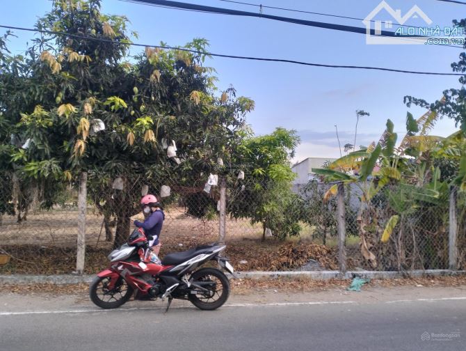BÁN ĐẤT MT ĐƯỜNG DUYÊN HẢI – CẦN GIỜ, GẦN DỰ ÁN VINHOMES, 1.706 M2, GIÁ RẺ BẤT NGỜ - 2