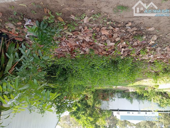 Cần bán nền đất mặt tiền đường Nguyễn Du phường 8 TP Trà Vinh - 2
