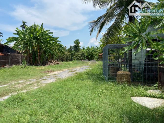 Cần bán đất + nhà cấp 4 mặt tiền nhựa xã Phú Mỹ Hưng Củ Chi 2900m2 300m thổ cư - 2