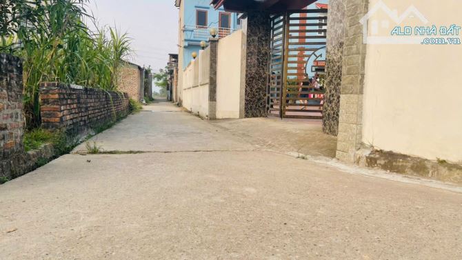 Bán nhanh 633.7m full thổ cư tại Yên Ninh, Hiền Ninh ,ô tô chạy vòng quanh ,ngay mặt đường - 2