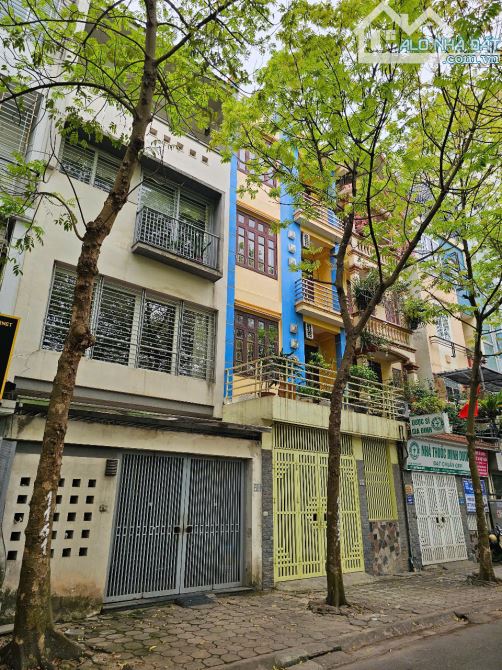Chính chủ  bán đất liền kề Xa La – 50m² – Mặt tiền 4.2m – Giá chỉ nhỉnh 12 đồng - 2