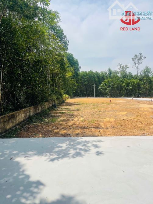 🔥 ĐẤT KIỆT Ô TÔ 5M THIÊN THAI THÔNG KHẢI ĐỊNH 💰 120m2 - 152m2 Giá chỉ 1ty1XX - 2
