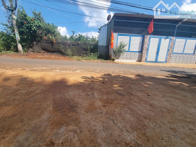 Đất mặt tiền đường Mậu Thân phường Tân Hoà sau chợ Đầu Mối - 2