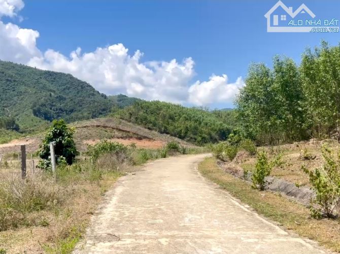 Bán lô góc Khánh Phú gần full thổ cư mặt đường bê tông phù hợp đầu tư phân lô - 2