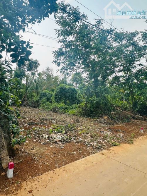 Đất thổ cư hẻm KA1 đi thông qua KA2 Eatu gần vành đai 14/26 - 2