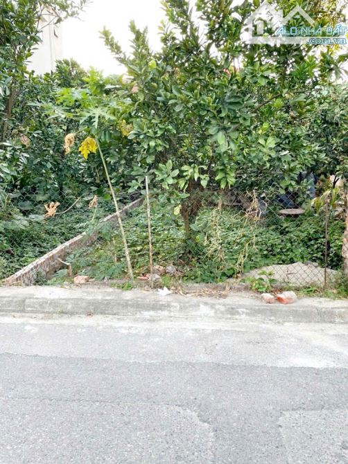 Bán đất TT Kim Sơn -Nở hậu - Thông số vàng - Ngõ 2 ô tô tránh  - Mặt tiền kinh doanh đỉnh - 2