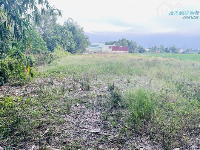 lô đất 1000m2 full thổ cư giá chỉ 11 tỷ còn thương lượng - 2