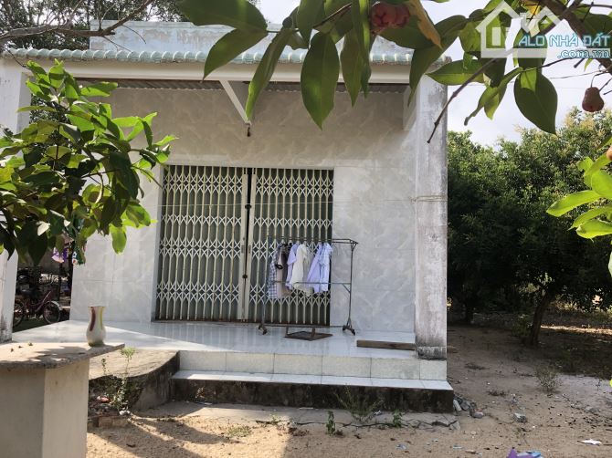 Bán đất tặng nhà ngay sát Võ Thị Sáu, tt Phước Hải, ra biển 4p-dt:313m2-8mx39m-80thổ cư, - 2