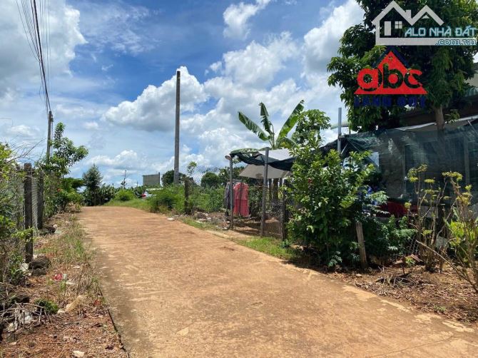 đất Thổ Cư Xã Thanh Bình Trảng Bom Đường Nguyễn Hoàng 50m Thổ Cư Full Đường 5m thoáng mát - 2