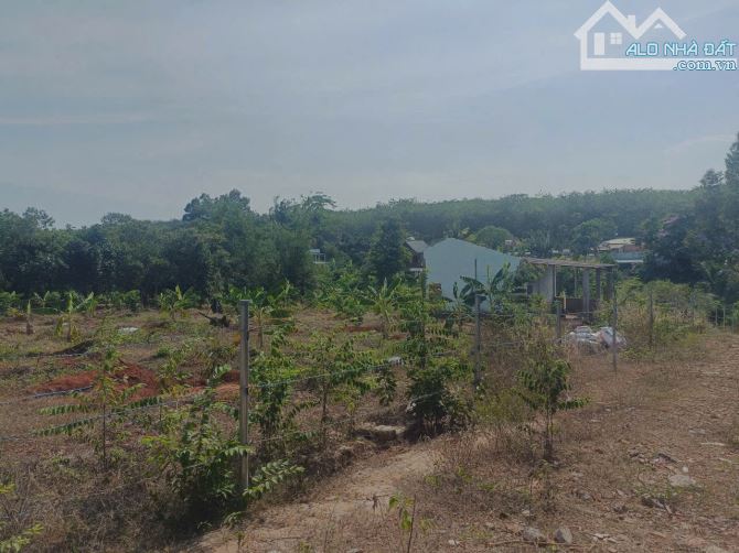 3 Sào- Đá bạc, H Châu Đức - Bà Rịa VT Sẵn 300 Thổ Cư  - Mặt tiền đường nhựa - - 2