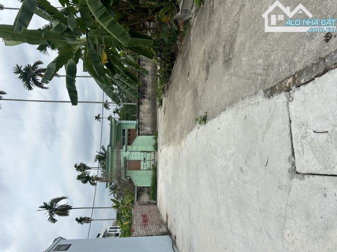 Bán lô đất 3 mặt ngõ, VF9 vào tận nơi - 2